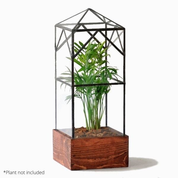 North Tower Terrarium - Nature Hills Nursery - Natural Finish - 
