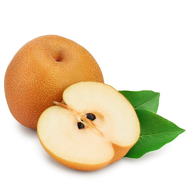 Close-up of white pyrus flowers on Oriental Asian Pear blooming in early spring to late spring.