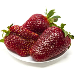 Ozark Beauty Everbearing Strawberry Plant - Nature Hills Nursery - 20 Pack Bareroot - 