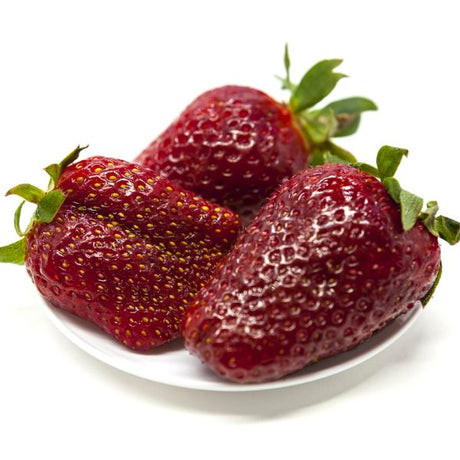 Ozark Beauty Everbearing Strawberry Plant Fruit