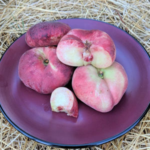 Pink Halo Peach Tree - Nature Hills Nursery - Paper Pot 4 - 5 Feet - 
