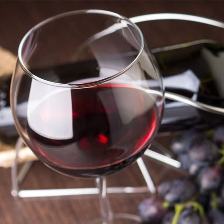 Pinot Noir Grape - Nature Hills Nursery - Bareroot - 
