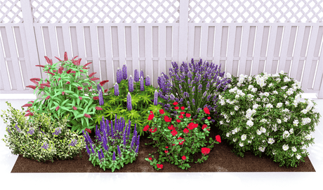 Plants That Work For A Fragrance Garden - Perennial - Nature Hills Nursery - Plant By Numbers - Plant Pack - 