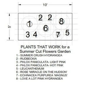 Plants That Work For A Summer Cut Flower Garden - Perennial - Nature Hills Nursery - 