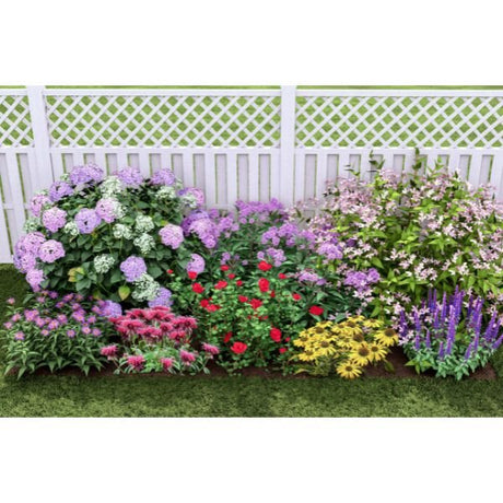 Plants That Work For A Summer Cut Flower Garden - Perennial - Nature Hills Nursery - 