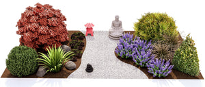 Plants That Work For A Zen Garden - Perennial - Nature Hills Nursery - Plant By Numbers - Plant Pack - 