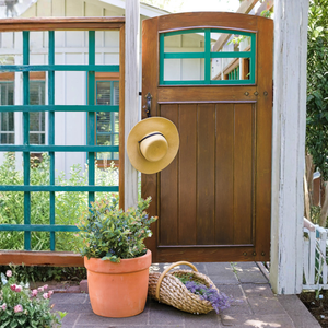 Pink Icing® Blueberry Bush