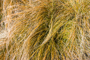 dreamstime_xl_179874564