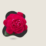 Red Double Knock Out® Rose
