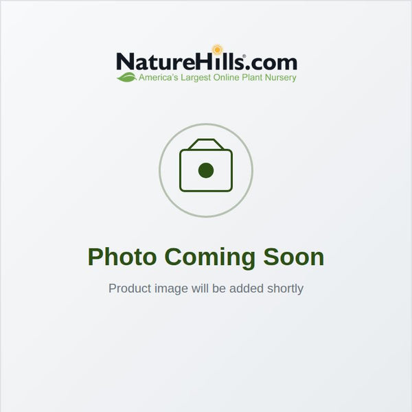 Product image coming soon