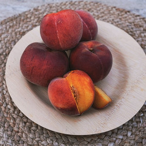 Queencrest Peach Tree - Nature Hills Nursery - Paper Pot 4 - 5 Feet - 