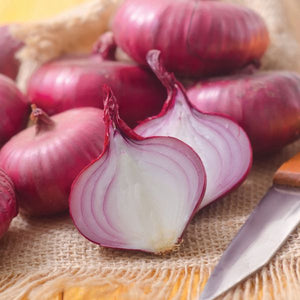 Red Onion - Nature Hills Nursery - 250 Pack Bulbs - 