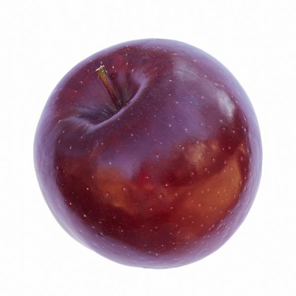 Red Rome Beauty Apple Tree - Nature Hills Nursery - Paper Pot 4 - 5 Feet Semi - Dwarf Height - 