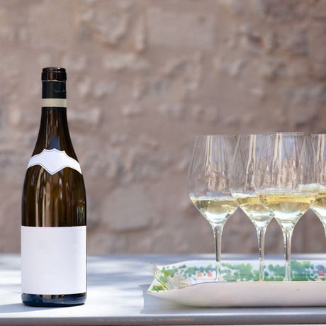 Sauvignon Blanc Grape - Nature Hills Nursery - Bareroot - 