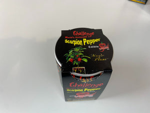 Scorpion Chili Pepper Grow Kit - Nature Hills Nursery - Single Pack - 