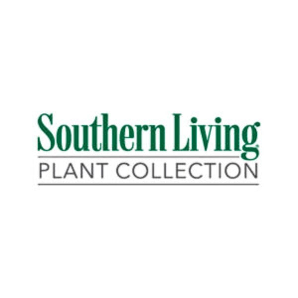 Southern Living Plant Collection logo in dark green and gray text on a white background.