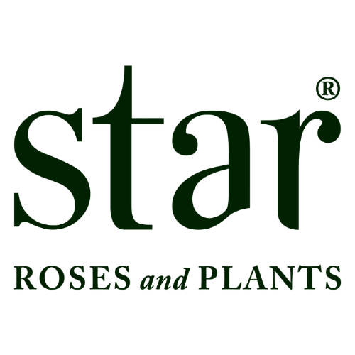 Star Roses and Plants registered trademark logo in dark green on a white background.