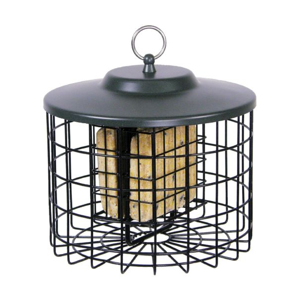 Stokes Select Squirrel Proof 9.5 Inch Double Suet Feeder - Nature Hills Nursery - Garden Center Item - 