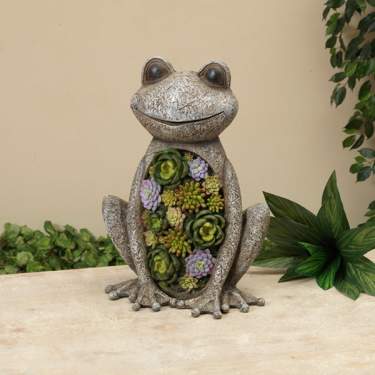 Succulent Froggy - Nature Hills Nursery - Gift Set - 