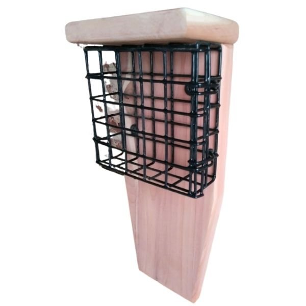 Suet Frame Feeder - Nature Hills Nursery - Single Sided - 