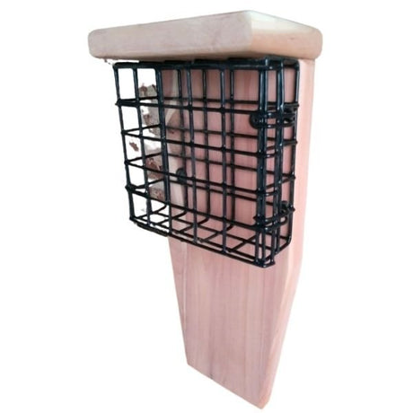 Suet Frame Feeder - Nature Hills Nursery - Single Sided - 