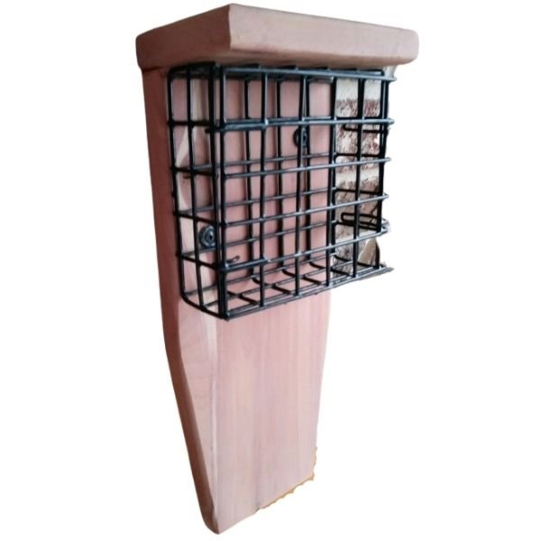 Suet Frame Feeder - Nature Hills Nursery - Single Sided - 