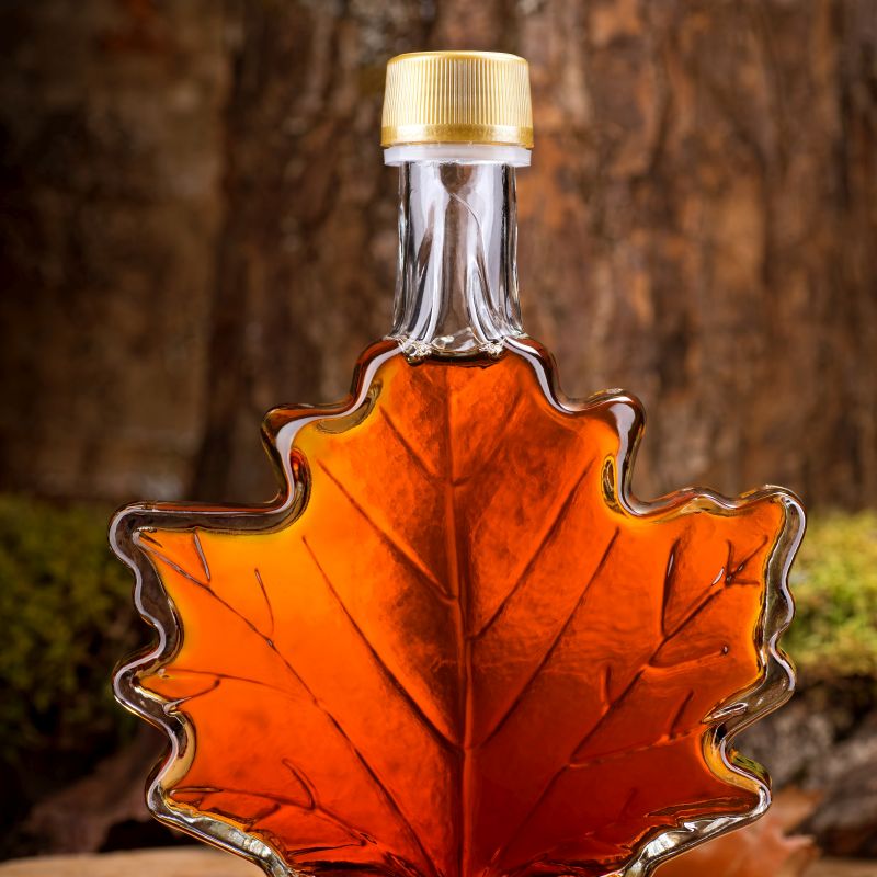 Sugar Maple Tree (Acer saccharum) growing in a garden landscape, showing mature tree form.
