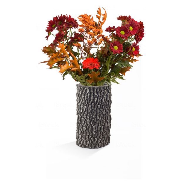Surreal 12 Inch Natural Oak Vase - Nature Hills Nursery - Garden Center Item - 