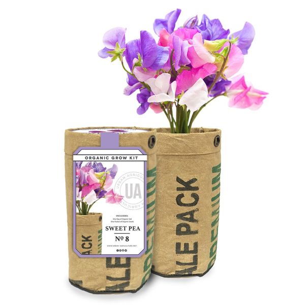 Sweet Pea Grow Kit - Nature Hills Nursery - Gift Set - 