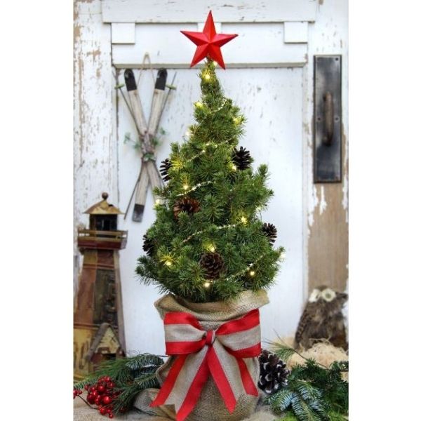Tabletop Christmas Tree - Nature Hills Nursery - #1 Container - 