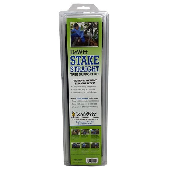 Tree Starter Kit growing in a garden landscape, showing mature hardgood form.