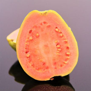 Tropic Pink Guava Tree - Nature Hills Nursery - #5 Container - 