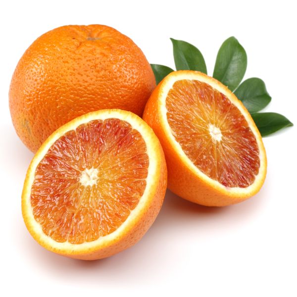 Vaniglia Sanguigno Blood Orange Tree - Nature Hills Nursery - 4x4x9 Inch Container - 