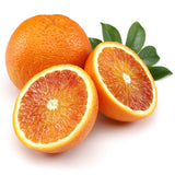 Vaniglia Sanguigno Blood Orange Tree - Nature Hills Nursery - 4x4x9 Inch Container - 