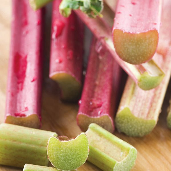Victoria Rhubarb Plant - Nature Hills Nursery - 2 Pack Bareroot - 