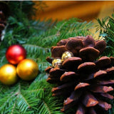 Victorian Wreath - Nature Hills Nursery - Garden Center Item - 