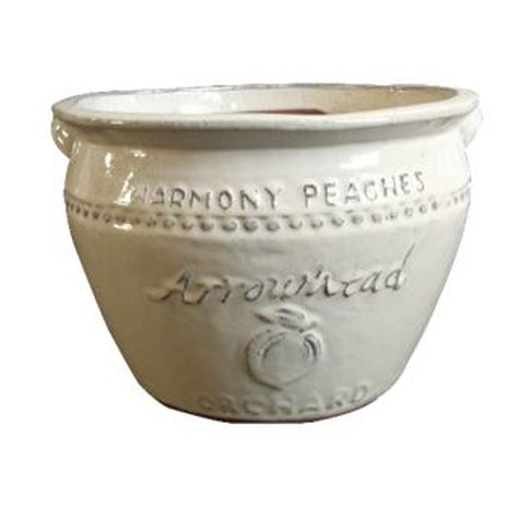 Vintage Pottery Cream 14 Inch Peach Planter - Nature Hills Nursery - Garden Center Item - 