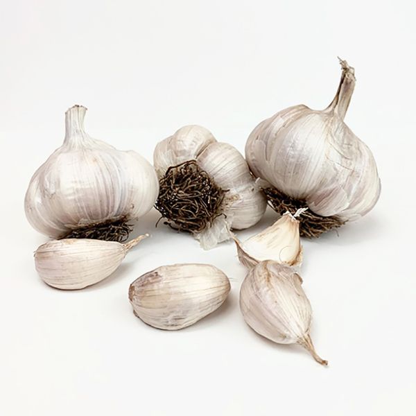 Violet Spring Garlic Cloves