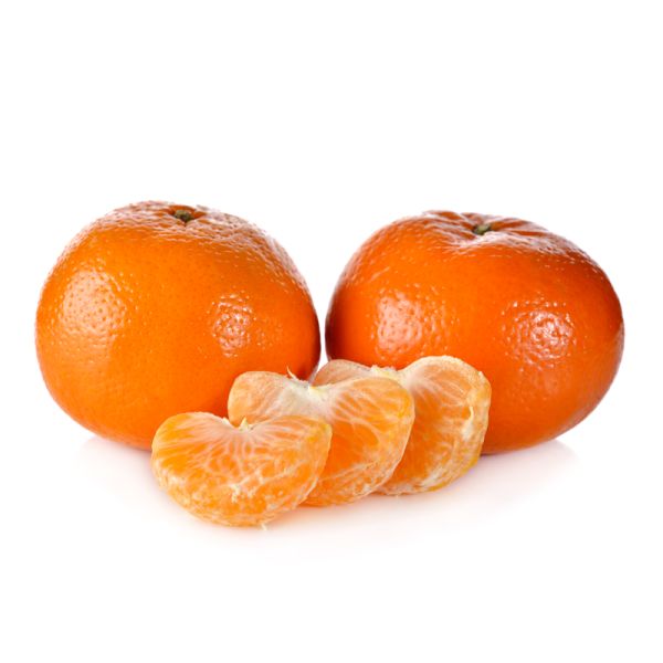 その他 street no.233 234 235 236 237 271 FRUiTS Citrus Kumquat, Fukushu | Urban Tree Farm Nursery