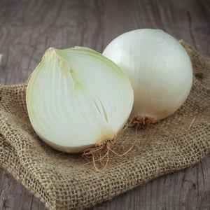 White Onions - Nature Hills Nursery - 250 Pack Bulbs - 
