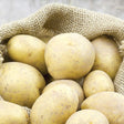 White Superior Potato - Nature Hills Nursery - 12 Pack Bareroot - 