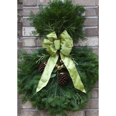 Wintergreen Spray - Nature Hills Nursery - Garden Center Item - 