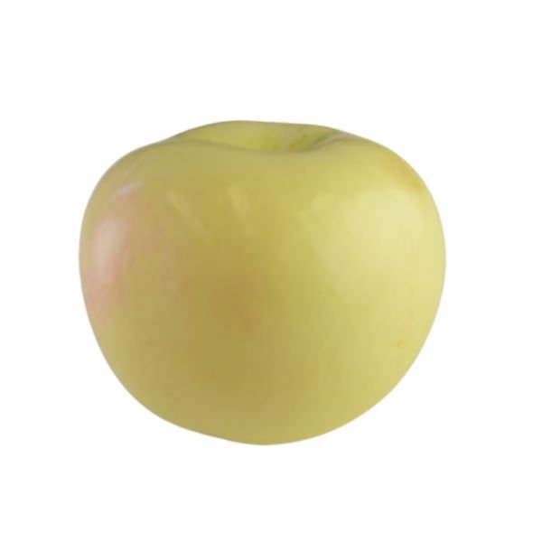Wodarz Apple Tree - Nature Hills Nursery - 4 - 5 Feet Bareroot Standard Height - 