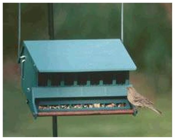 Woodlink Birds Choice Squirrel Proof Feeder - Nature Hills Nursery - Garden Center Item - 