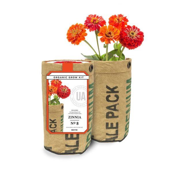 Zinnia Grow Kit - Nature Hills Nursery - Gift Set - 
